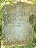 image of grave number 207590